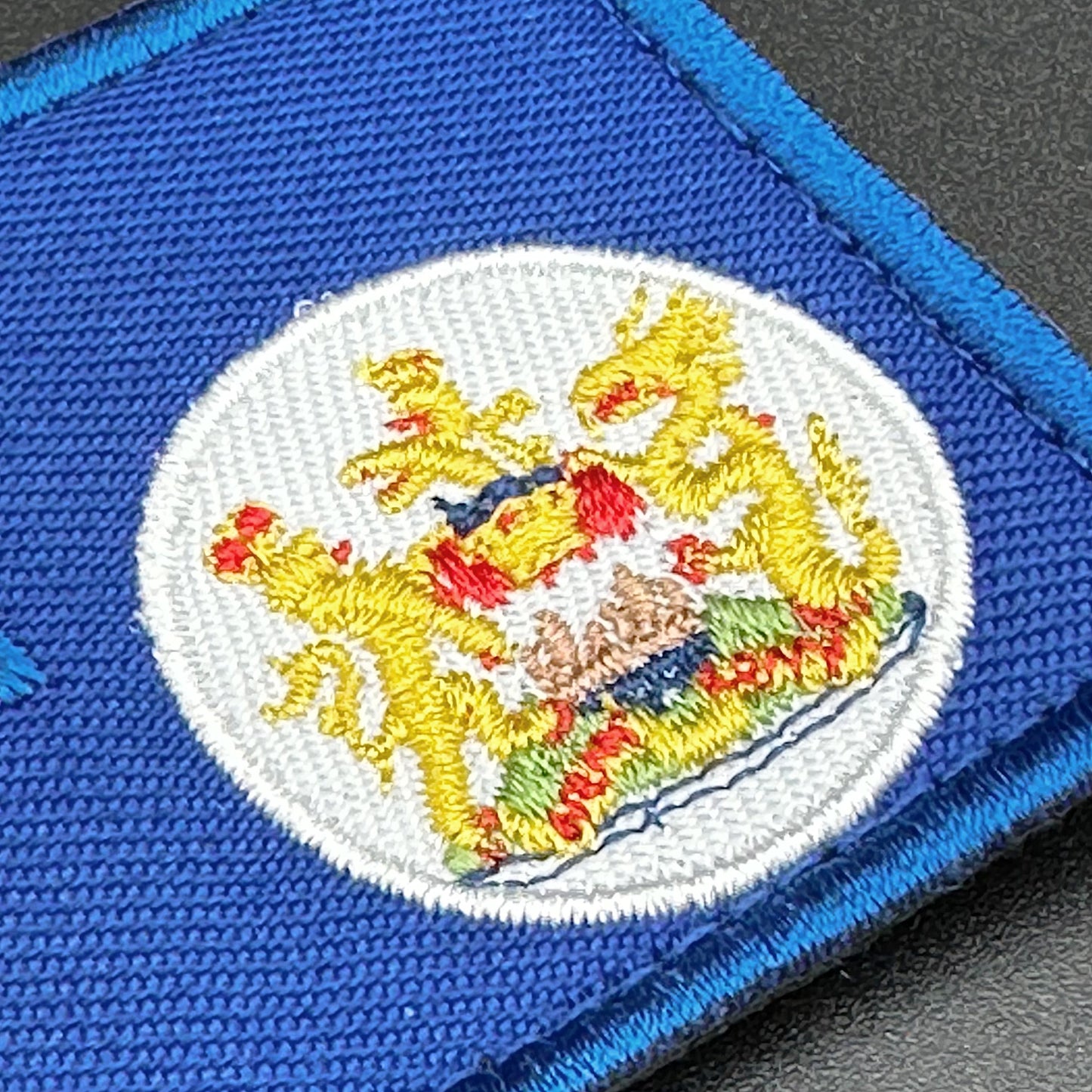 EMBROIDERED VELCRO