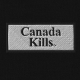 CANADA KILLS BOX LOGO HOODIE